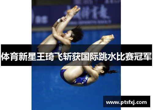 体育新星王琦飞斩获国际跳水比赛冠军