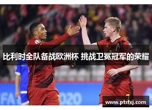 比利时全队备战欧洲杯 挑战卫冕冠军的荣耀
